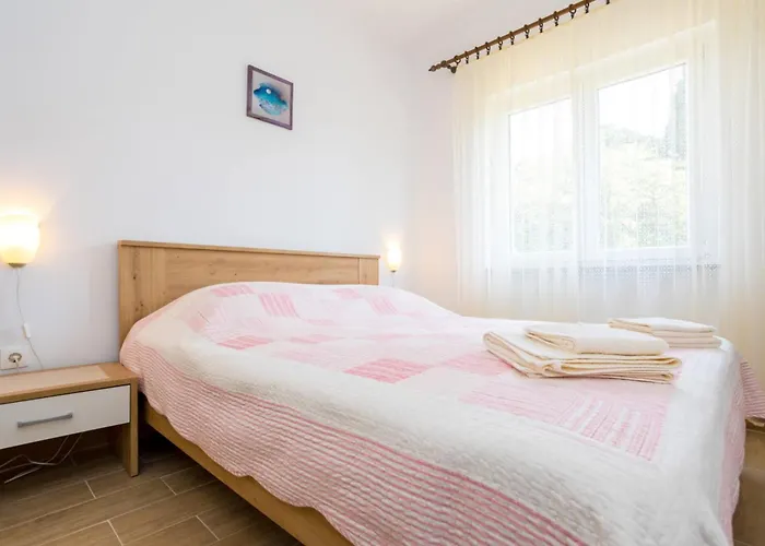 Apartmán Andjelko G *
